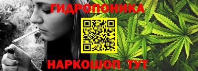 шишки Пушкино