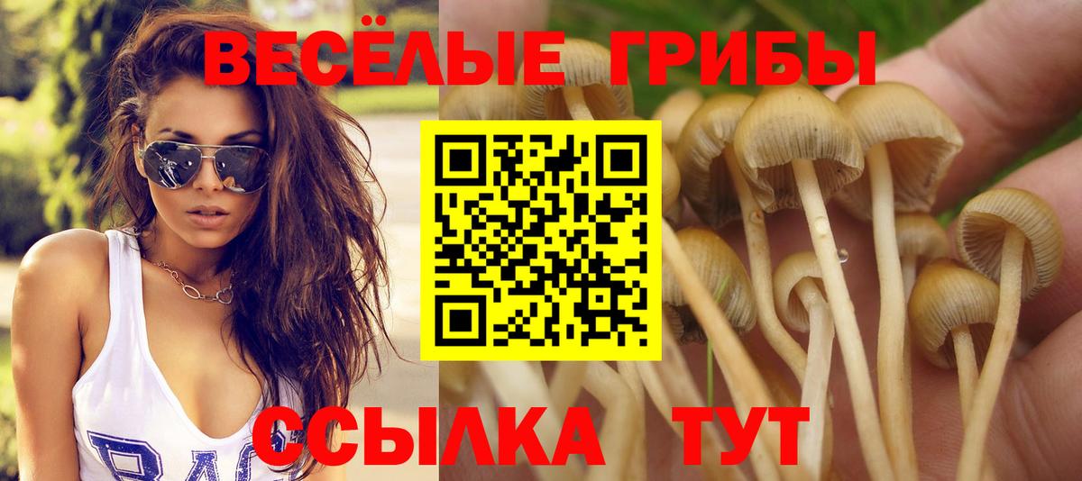 Галлюциногенные грибы мухоморы  Псилоцибиновые грибы мицелий  Вход с VPN  Набережные Челны 